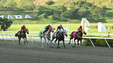 Mira lo que le ocurrió a uno de los datos más corridos de la cuarta válida del 5y6 nacional en La Rinconada  Mira lo que le ocurrió a uno de los datos más corridos de la cuarta válida del 5y6 nacional en La Rinconada