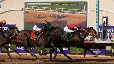 Mira este dato sobre Forever Young que seguro no conoces Mira este dato sobre Forever Young que seguro no conoces