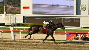 El mejor café de Colombia reaparece este domingo en La Rinconada El mejor café de Colombia reaparece este domingo en La Rinconada
