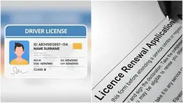 Licencia de conducir estado de Illinois