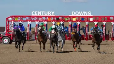 La consolidación de un campeón: Las cifras estelares del entrenador Gonzalo Anderson Jr. La consolidación de un campeón: Las cifras estelares del entrenador Gonzalo Anderson Jr.