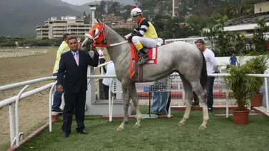 “Vuelve el jinete de Stillwater”: La leyenda hípica protagonizará la reunión 43 en La Rinconada “Vuelve el jinete de Stillwater”: La leyenda hípica protagonizará la reunión 43 en La Rinconada