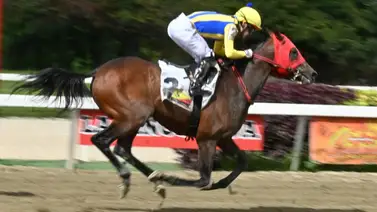 La cuna de ganadores vuelve a producir: Hermano materno de Futuro y Caminante debuta en la pista caraqueña La cuna de ganadores vuelve a producir: Hermano materno de Futuro y Caminante debuta en la pista caraqueña