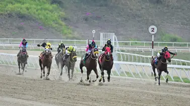 "En La Rinconada ya lo saben": Los ejercicios previos del doble coronado confirman su gran reaparición "En La Rinconada ya lo saben": Los ejercicios previos del doble coronado confirman su gran reaparición