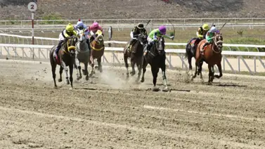 Venezolanos arrasan y ganan más de la mitad del programa en este hipódromo en Estados Unidos Venezolanos arrasan y ganan más de la mitad del programa en este hipódromo en Estados Unidos