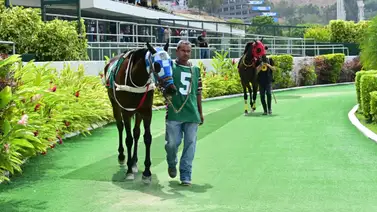 No la olvides: La potra que no debutó en La Rinconada está lista para saldar su deuda No la olvides: La potra que no debutó en La Rinconada está lista para saldar su deuda