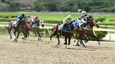 El "Dato atrasado" vuelve a la pista: Nieto de Water Poet reaparece tras 266 días en busca de su primera victoria El "Dato atrasado" vuelve a la pista: Nieto de Water Poet reaparece tras 266 días en busca de su primera victoria