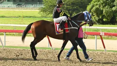 Tras el retiro del campeón: Hermano completo de El De Froix retoma la acción en La Rinconada Tras el retiro del campeón: Hermano completo de El De Froix retoma la acción en La Rinconada