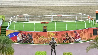 ¡A salir del cero! Jinete y yegua buscan su ansiada primera victoria este domingo en La Rinconada ¡A salir del cero! Jinete y yegua buscan su ansiada primera victoria este domingo en La Rinconada