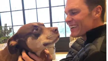 El lado científico de Brady: El ex-NFL clonó a su mascota Lua gracias a Colossal Biosciences El lado científico de Brady: El ex-NFL clonó a su mascota Lua gracias a Colossal Biosciences