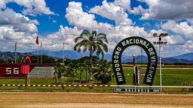 HiNaVa: Se presenta el primer ejemplar retirado para la Reunión N°22 en Valencia 8-11-2025 HiNaVa: Se presenta el primer ejemplar retirado para la Reunión N°22 en Valencia 8-11-2025