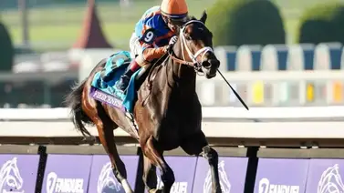 ¡Se desató la polémica por el Conejo! Conexiones de Fierceness expresan su pesar por la derrota en la BC Classic (G1) ¡Se desató la polémica por el Conejo! Conexiones de Fierceness expresan su pesar por la derrota en la BC Classic (G1)