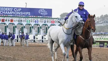 ¡Tremendo lio! Los dueños de White Abarrio están considerando alternativas legales después del retiro en la Breeders' Cup ¡Tremendo lio! Los dueños de White Abarrio están considerando alternativas legales después del retiro en la Breeders' Cup