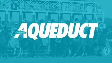 ¡Nueva jornada de carrera! La NYRA anunció una cartelera adicional tras la suspensión de competencias ¡Nueva jornada de carrera! La NYRA anunció una cartelera adicional tras la suspensión de competencias