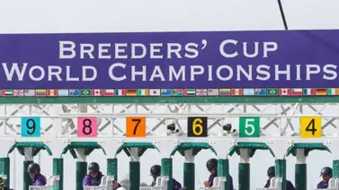 ¡Pica y se extiende el lio de los retirados! Esto dijo el director de carreras tras la aparición retirados en las Breeders' Cup ¡Pica y se extiende el lio de los retirados! Esto dijo el director de carreras tras la aparición retirados en las Breeders' Cup