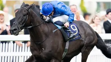 “Siempre será mi mejor amigo” Así dijo el jinete de Rebels’ Romans luego de su segundo en la Breeders’ Cup Turf (G1) “Siempre será mi mejor amigo” Así dijo el jinete de Rebels’ Romans luego de su segundo en la Breeders’ Cup Turf (G1)