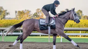 ¿Crees tú que las Breeders' Cup determina quiénes serán los próximos ganadores del Premio Eclipse? ¿Crees tú que las Breeders' Cup determina quiénes serán los próximos ganadores del Premio Eclipse?