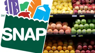 EEUU Programa SNAP EEUU Programa SNAP