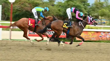 "Alerta hípica": Descubre el ajuste de la gran opción de Gaceta Hípica que transformará tu 5y6 en un acierto rotundo "Alerta hípica": Descubre el ajuste de la gran opción de Gaceta Hípica que transformará tu 5y6 en un acierto rotundo