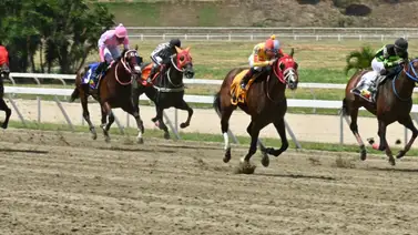 El outsider que impresiona: Su ajuste buscará silenciar a los pronosticadores en la R43 El outsider que impresiona: Su ajuste buscará silenciar a los pronosticadores en la R43
