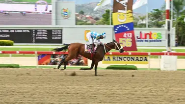 Pura velocidad: La yegua más rápida en los ajustes se esconde en la quinta válida del 5y6 en La Rinconada Pura velocidad: La yegua más rápida en los ajustes se esconde en la quinta válida del 5y6 en La Rinconada