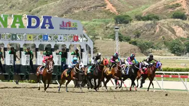 Fue la gran favorita y falló ahora en carrera pareja con excelente ajuste no puede ser olvidada en La Rinconada Fue la gran favorita y falló ahora en carrera pareja con excelente ajuste no puede ser olvidada en La Rinconada