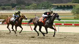 Bombazo hípico: Te decimos cuál es el "robo" que toda Venezuela espera para el 5y6 de la R43