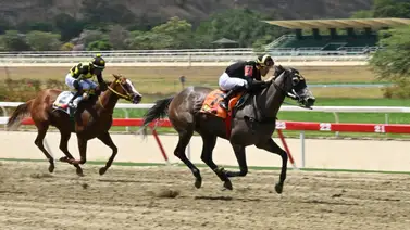 Bombazo hípico: Te decimos cuál es el "robo" que toda Venezuela espera para el 5y6 de la R43 Bombazo hípico: Te decimos cuál es el "robo" que toda Venezuela espera para el 5y6 de la R43