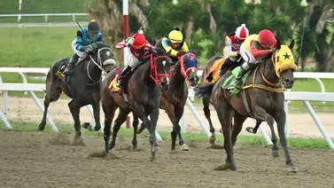 El secreto de la R43: Descubre los ejemplares con más "fuerza" y la jugada larga para multiplicar en La Rinconada El secreto de la R43: Descubre los ejemplares con más "fuerza" y la jugada larga para multiplicar en La Rinconada