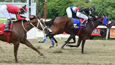Conoce la razón por la que el jinete Jhonathan Aray se queda sin una de sus montas para la R43 Conoce la razón por la que el jinete Jhonathan Aray se queda sin una de sus montas para la R43