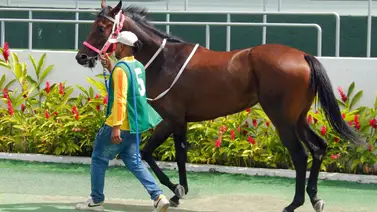 Nómina reducida: La primera válida del 5y6 arranca con once participantes tras un retiro de último minuto en La Rinconada Nómina reducida: La primera válida del 5y6 arranca con once participantes tras un retiro de último minuto en La Rinconada
