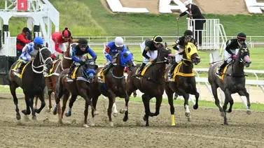 A sellar tu cuadro: Te revelamos el ajuste contenido de una sorpresa de Gaceta Hípica con el que podrás asegurar y ganar tu jugada en el 5y6 A sellar tu cuadro: Te revelamos el ajuste contenido de una sorpresa de Gaceta Hípica con el que podrás asegurar y ganar tu jugada en el 5y6