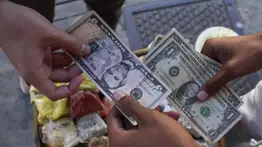 Precio oficial del dólar BCV para este viernes 7 de noviembre