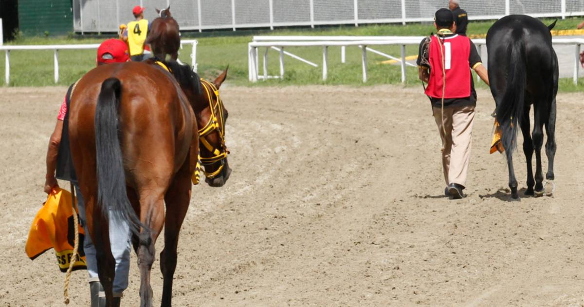 Atención: En la tercera válida para el 5y6 de la R43 se presenta un retiro