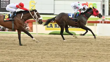 La Rinconada: Datos de Última Hora para el 09-11-2025 La Rinconada: Datos de Última Hora para el 09-11-2025