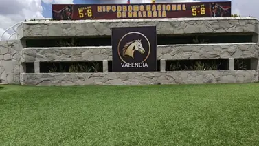 Estos son los retirados de la Reunión N°22 en Valencia 08-11-2025 Estos son los retirados de la Reunión N°22 en Valencia 08-11-2025