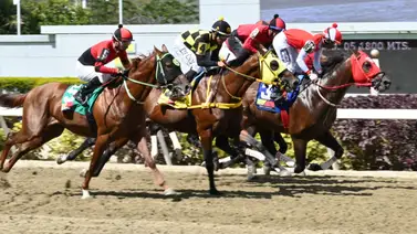 Esta fue la razón del retiro de esta yegua en la segunda válida de la R43 Esta fue la razón del retiro de esta yegua en la segunda válida de la R43