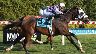 La marca soñada: Javier Castellano llega a 1.000 Stakes de por vida en Estados Unidos La marca soñada: Javier Castellano llega a 1.000 Stakes de por vida en Estados Unidos