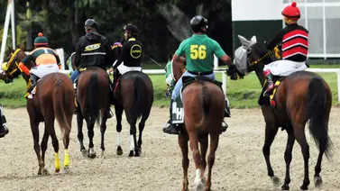 La Rinconada: Estos son los retirados de la Reunión N°43 del 09-11-2025 La Rinconada: Estos son los retirados de la Reunión N°43 del 09-11-2025