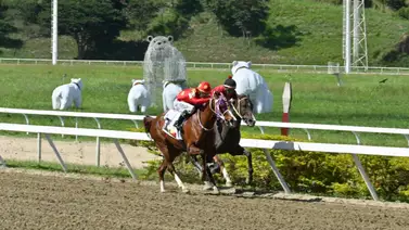 Reglamento en mano: La Junta de Comisarios ordena exámenes a la candidata de la R43 Reglamento en mano: La Junta de Comisarios ordena exámenes a la candidata de la R43