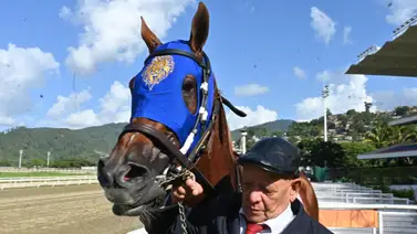 La interrogante de Universal Joy: La importada que tuvo un desarrollo atípico en la reunión 43 en La Rinconada La interrogante de Universal Joy: La importada que tuvo un desarrollo atípico en la reunión 43 en La Rinconada