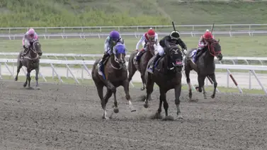 La verdad oculta: Entérate de las razones por la que tres jinetes no estuvieron presentes en la R43 La verdad oculta: Entérate de las razones por la que tres jinetes no estuvieron presentes en la R43