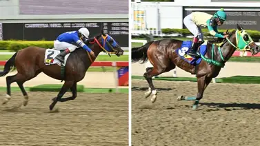 Voluntad inquebrantable: La yegua que sella su doblete en tiempo récord en La Rinconada Voluntad inquebrantable: La yegua que sella su doblete en tiempo récord en La Rinconada