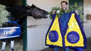 Esto dijo Francisco D’Angelo sobre el futuro de Shisospicy y Bentornato Esto dijo Francisco D’Angelo sobre el futuro de Shisospicy y Bentornato