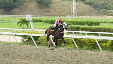 Clásico “Ciudad de Caracas” (GI): La importada Star of God pone a prueba su potencial estelar en La Rinconada Clásico “Ciudad de Caracas” (GI): La importada Star of God pone a prueba su potencial estelar en La Rinconada