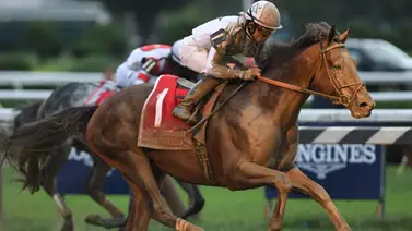 Sangre de Japón en La Rinconada: La descendiente del gran semental debuta el domingo en 1.800 metros Sangre de Japón en La Rinconada: La descendiente del gran semental debuta el domingo en 1.800 metros