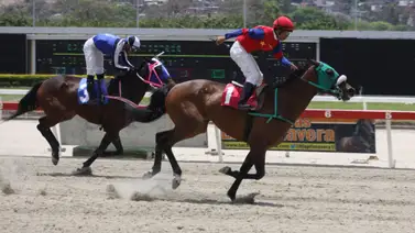 Varios años después: Profesional del látigo se reencuentra con el óvalo de Coche Varios años después: Profesional del látigo se reencuentra con el óvalo de Coche