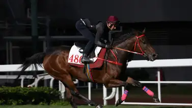 El caballo más rico del mundo tiene 11 rivales para la Jockey Club Cup (Gr.2) El caballo más rico del mundo tiene 11 rivales para la Jockey Club Cup (Gr.2)