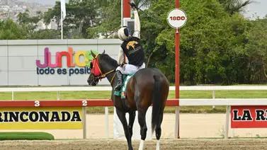 Cuidado con la tormenta: La medio hermana materna de Barbaroja hace su debut en La Rinconada Cuidado con la tormenta: La medio hermana materna de Barbaroja hace su debut en La Rinconada