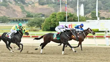 Muy atentos con la reaparecida de este ejemplar que fue gran favorito en su última y no quiso dar un paso en La Rinconada Muy atentos con la reaparecida de este ejemplar que fue gran favorito en su última y no quiso dar un paso en La Rinconada